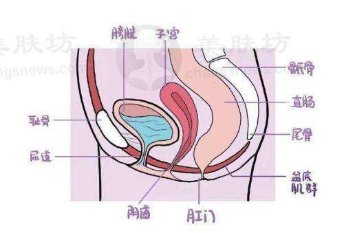 服务流程