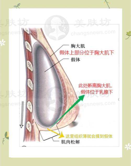 医生资质介绍